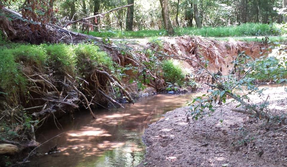 Backyard needing stream repair by NCSU